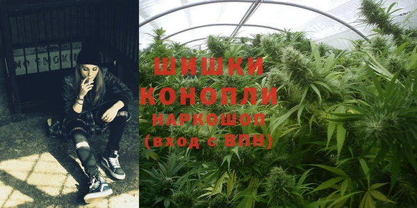 метадон Горнозаводск
