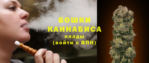 метадон Горнозаводск