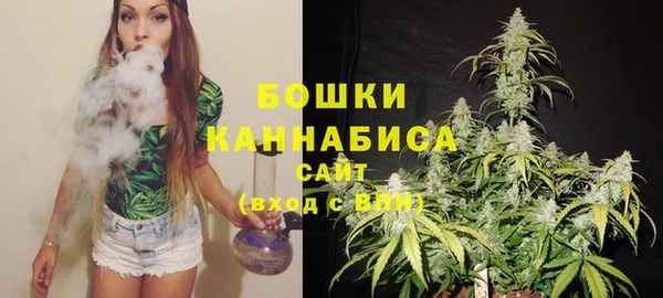 альфа пвп Горно-Алтайск