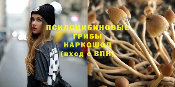 альфа пвп Горно-Алтайск