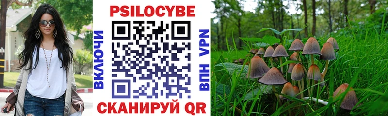 Купить  Спасск-Рязанский  Галлюциногенные грибы GOLDEN TEACHER 